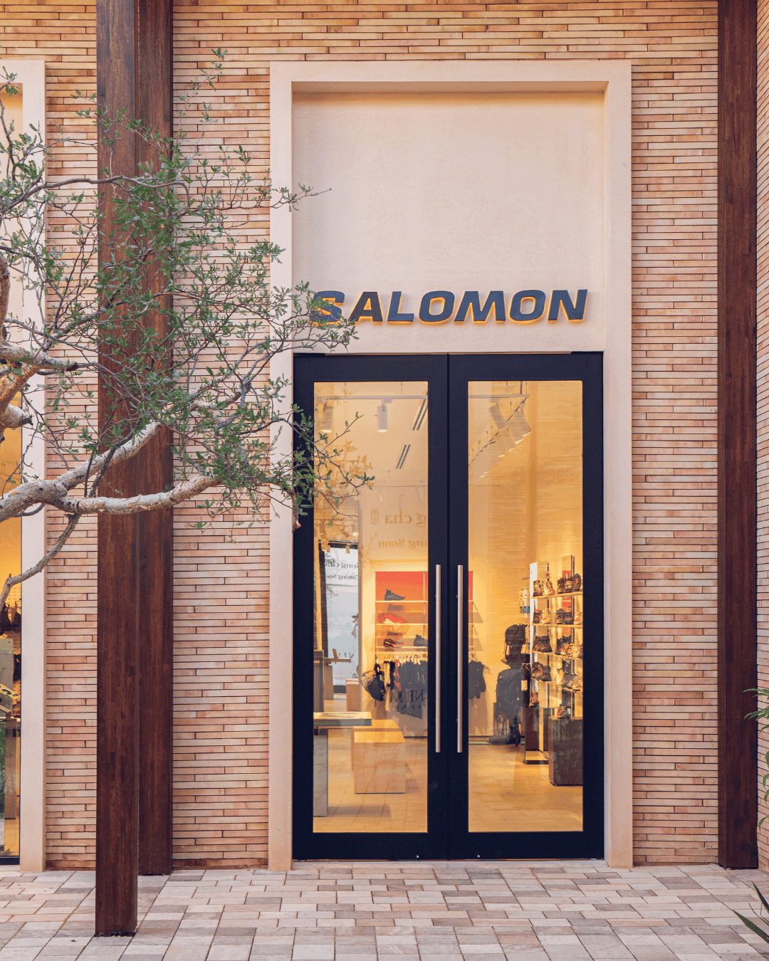 Salomon