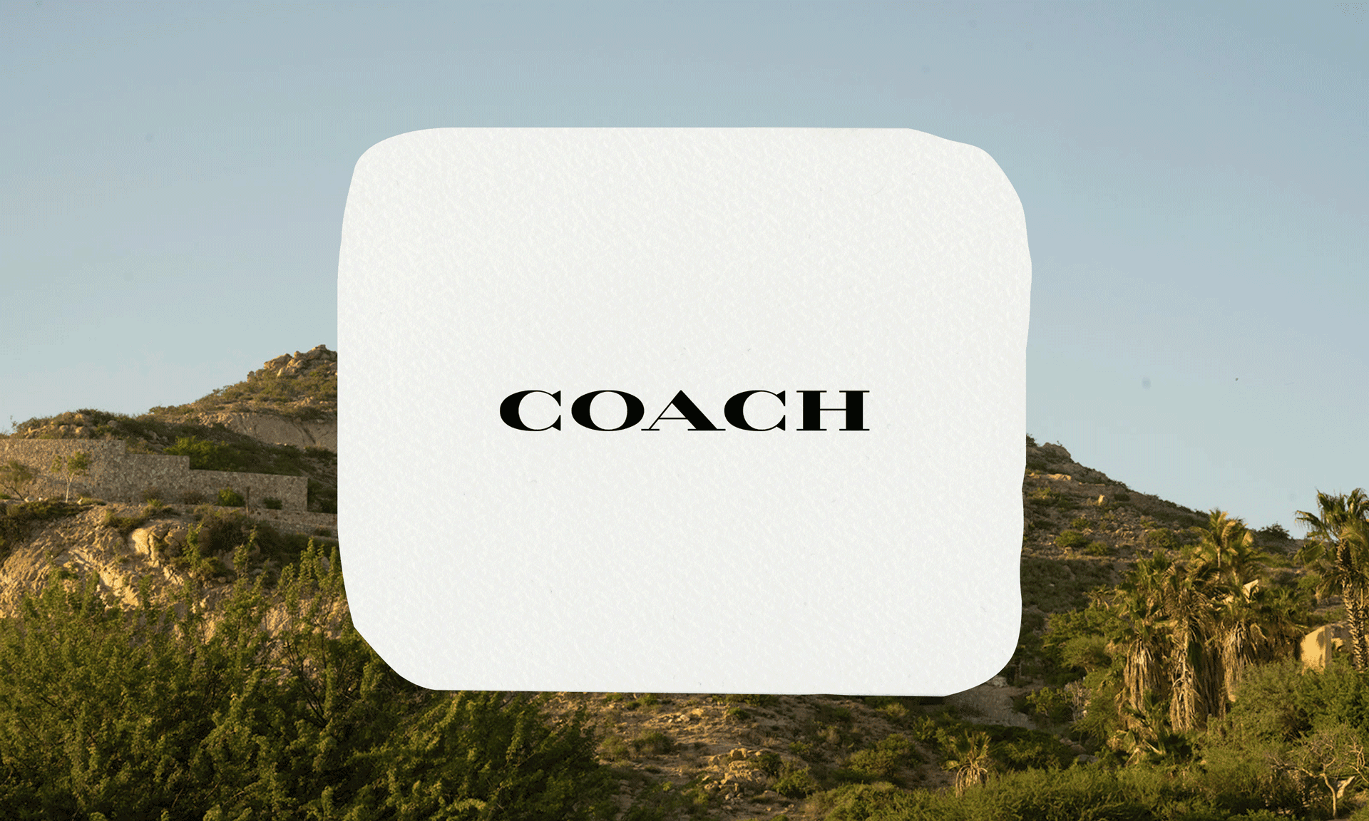 Coach