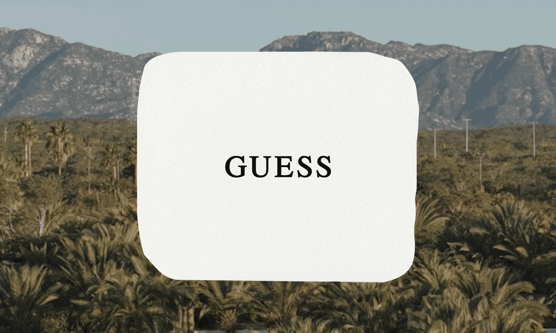 Guess