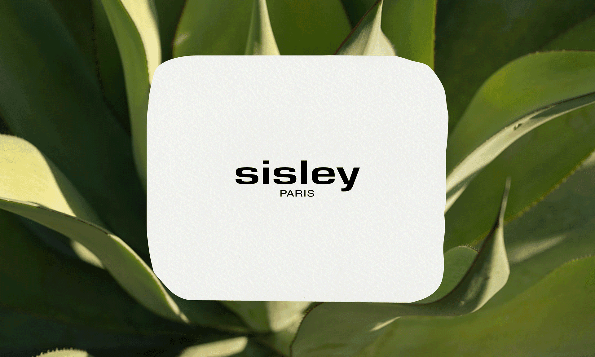 Sisley