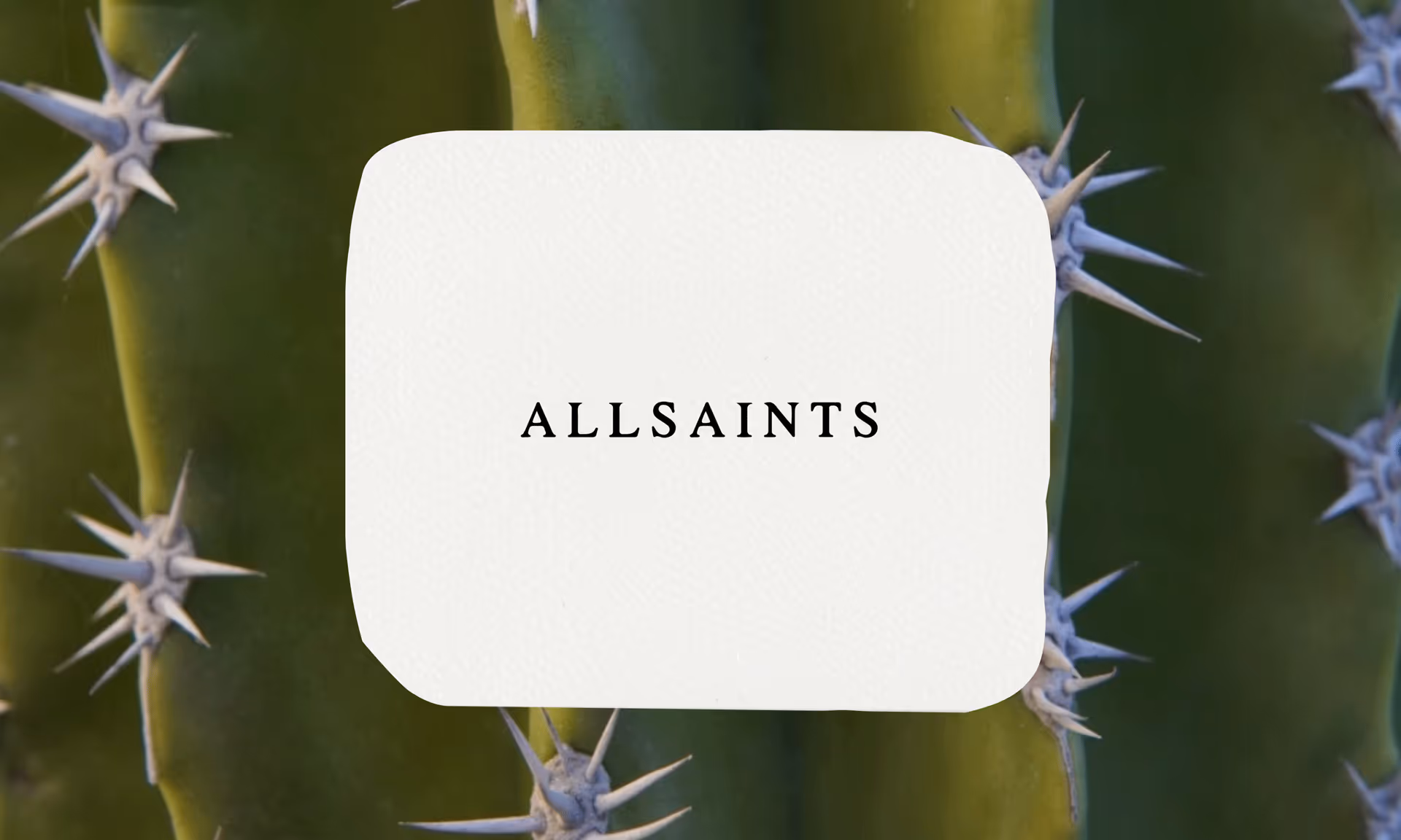 AllSaints