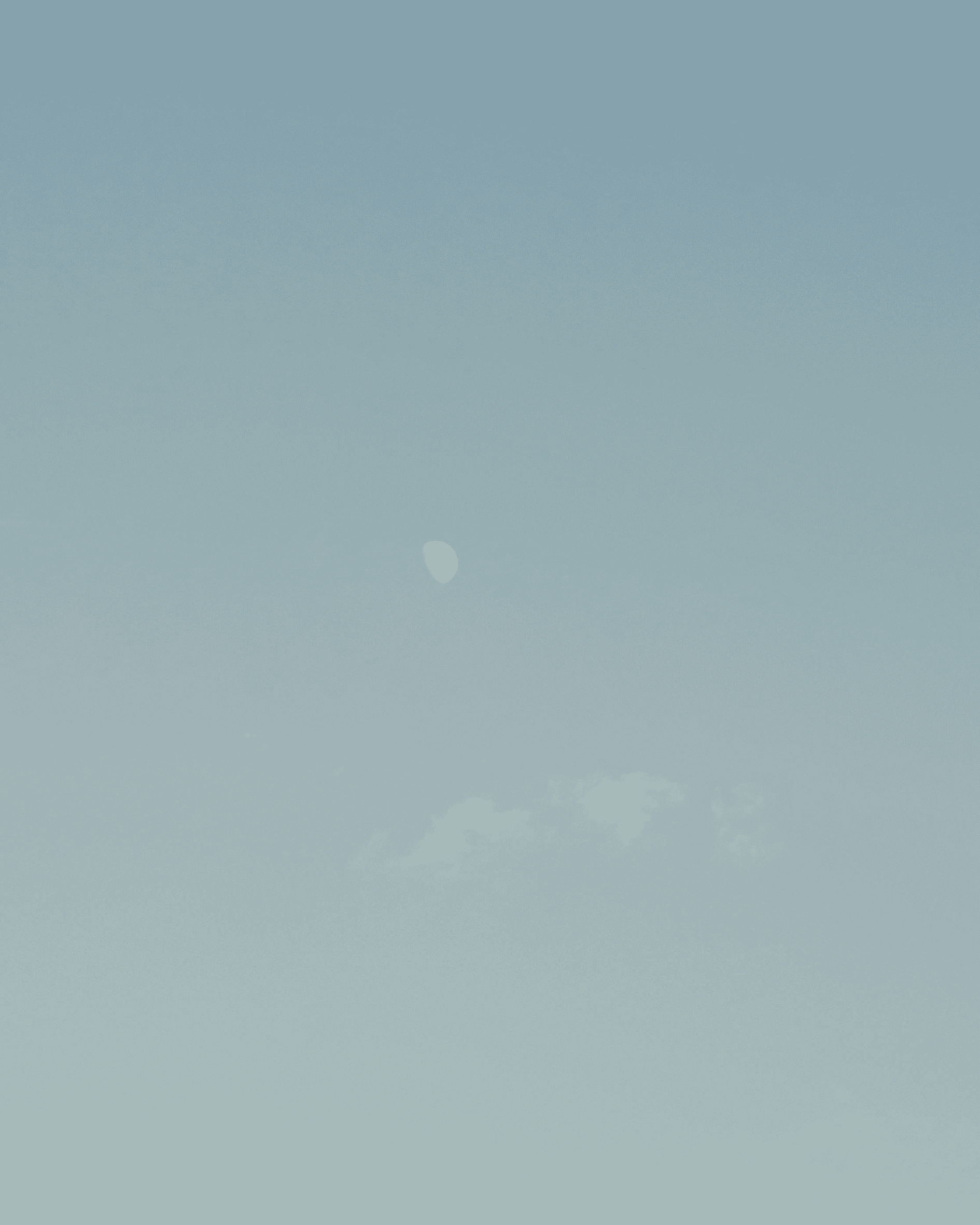 Vuori